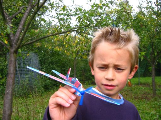 David in Bliesdalheim